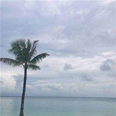 无双魏蜀吴九游版下载
