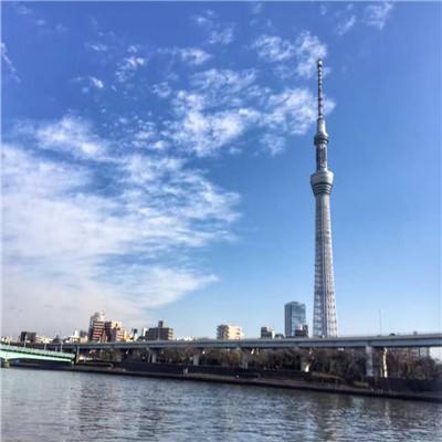 流言侦探整合版下载
